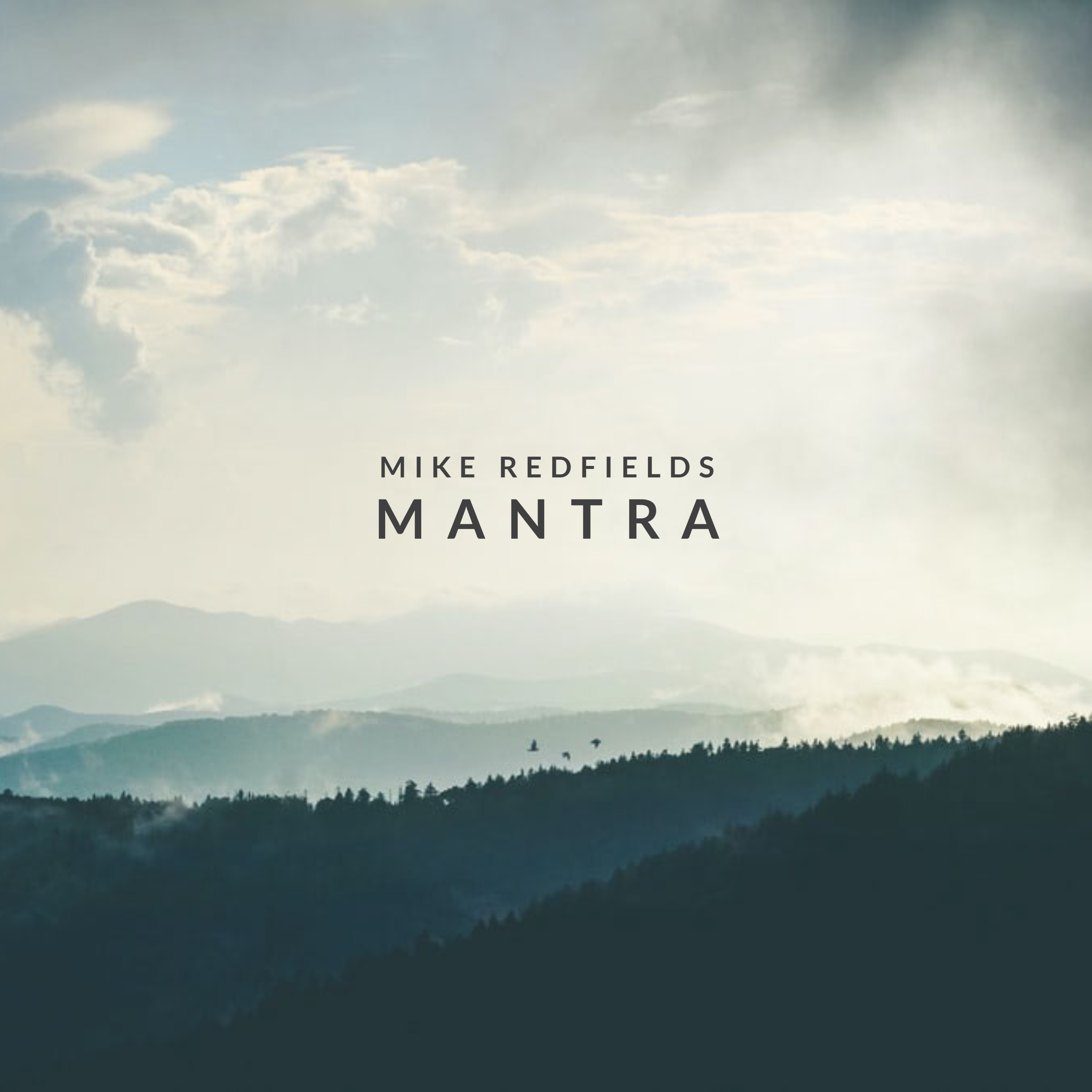 Mantra Artwork